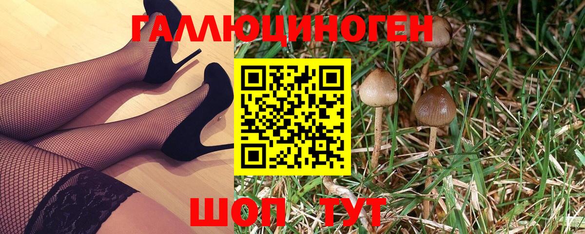Галлюциногенные грибы Cubensis Моздок