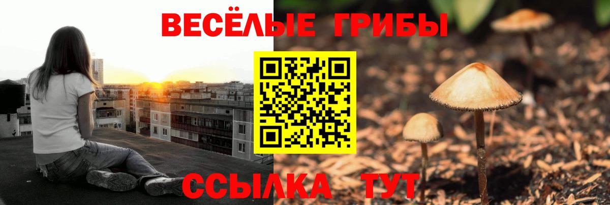 Псилоцибиновые грибы мицелий  даркнет сайт  Моздок  Вход с VPN 