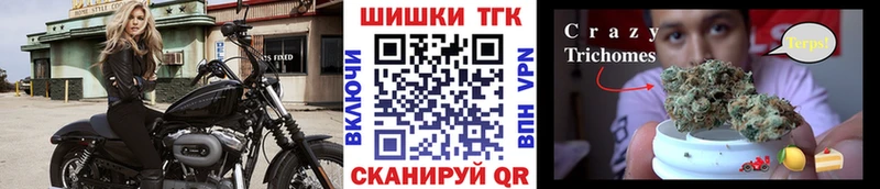 Бошки марихуана THC 21%  KRAKEN вход  Моздок 